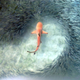 Illustration for article titled These Are the Most Spectacular Nature Photos of the Year